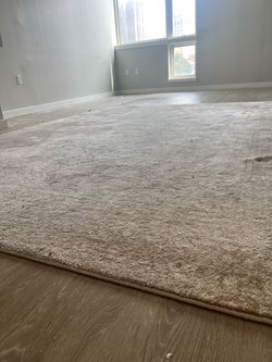 8x10 Neutral Area Rug
