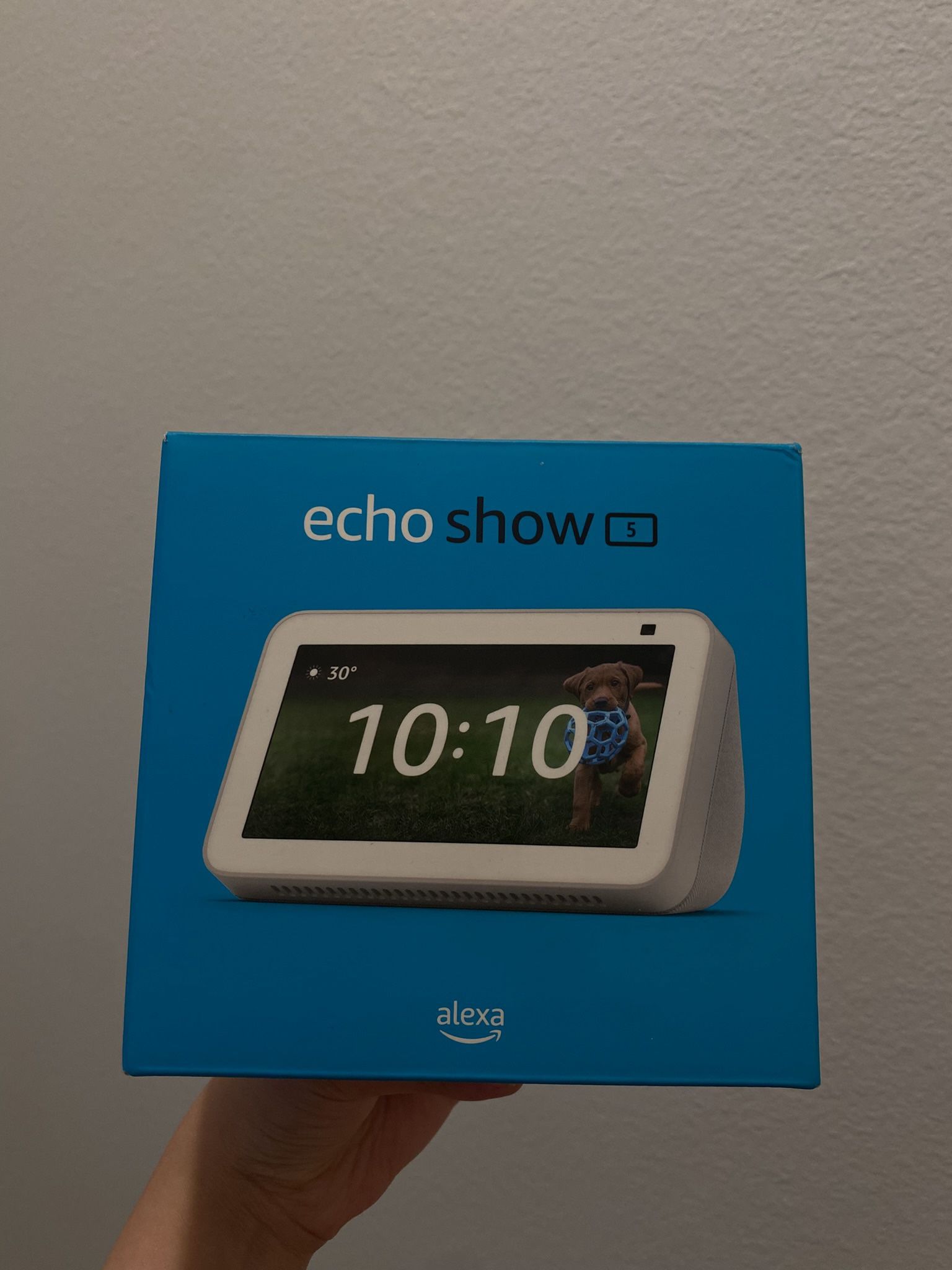 Amazon Alexa Echo Show 5