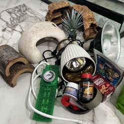 Reptile Hides Lamps Vitamins Calcium And More