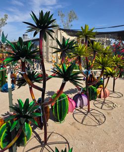 Desert's Hidden Gems🌷Metal yard art, planters