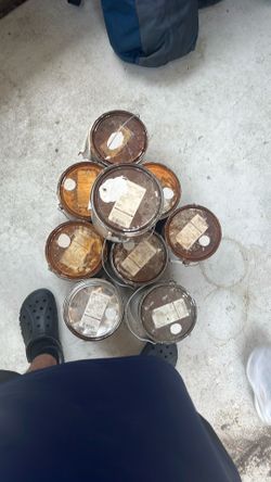 Paint for sale