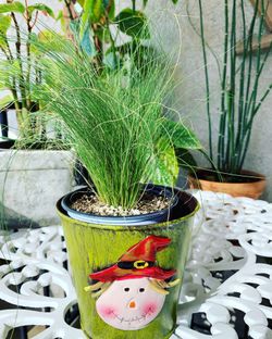 House Plant planters pots decor