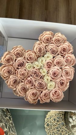 Letter “T” million roses Los Angeles
