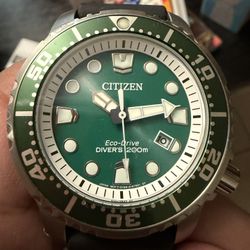 Citizen Promaster Dive Watch