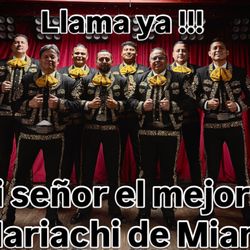 Mariachis 