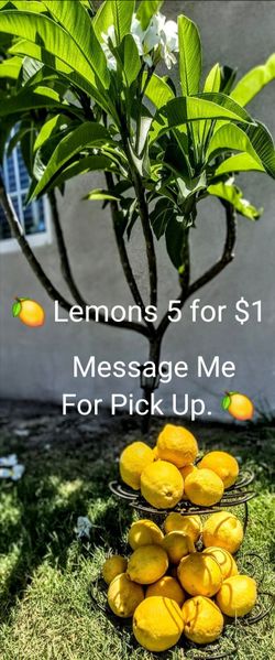 Lemons 🍋 🍋 🍋