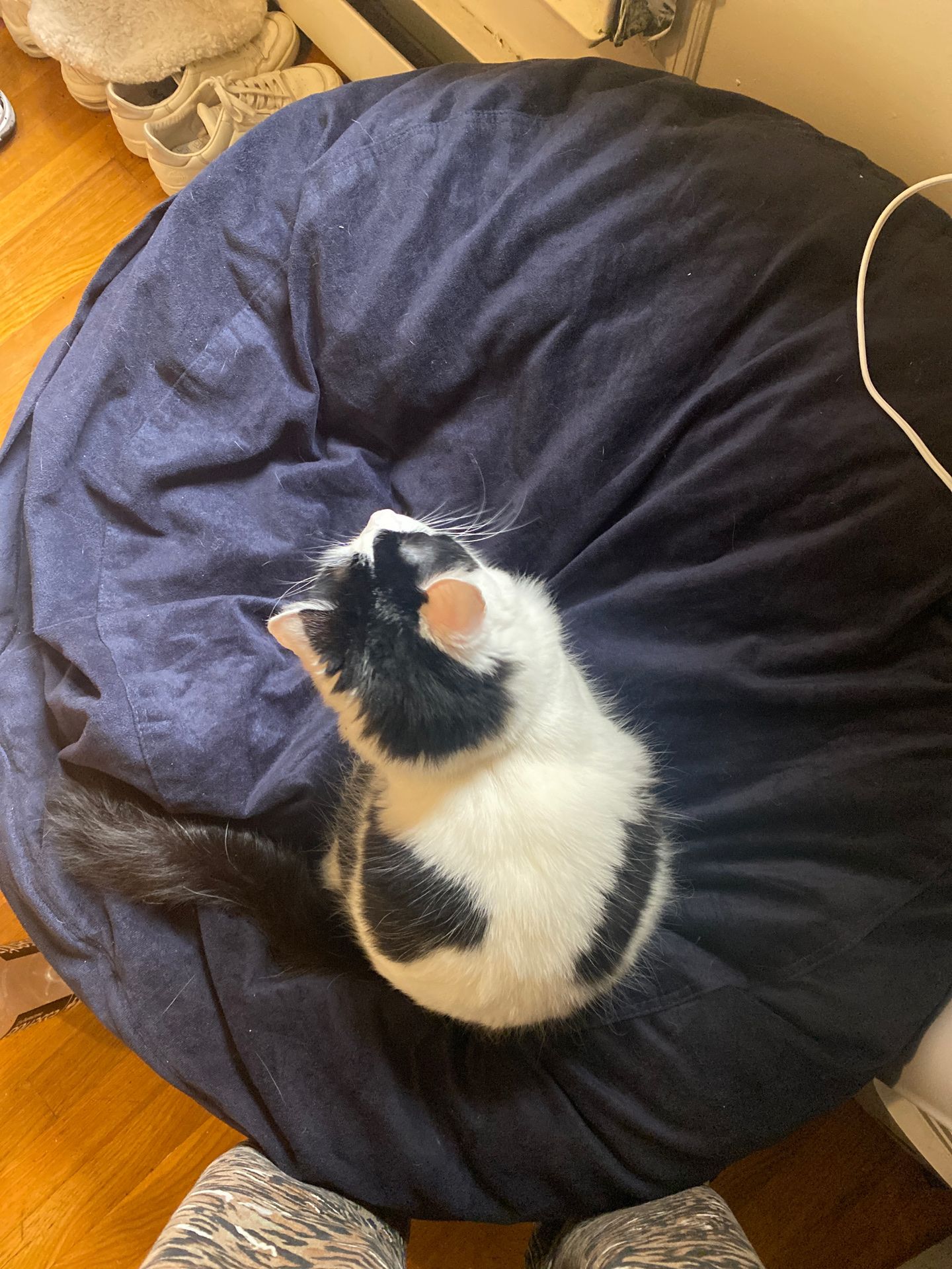 Sofa Sack Bean Bag in Navy blue
