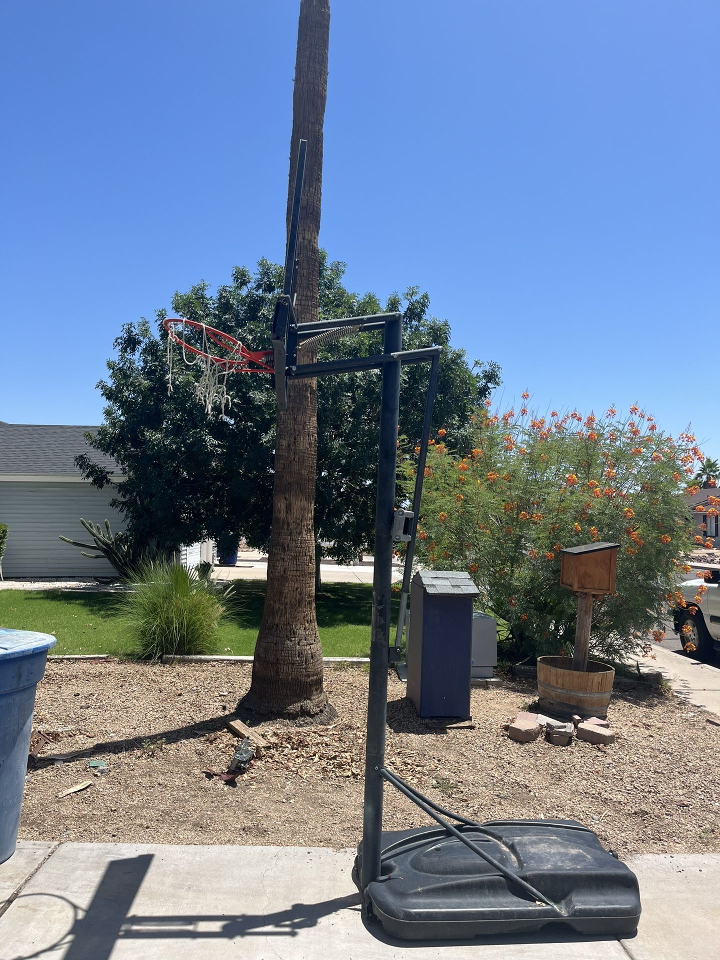 Lifetime Basketball Hoop