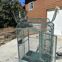 Bird Cage