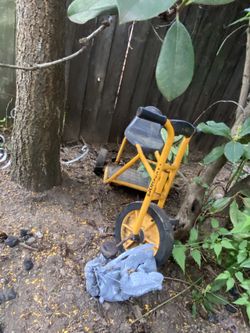 Trike Kids Three Wheeled Bike