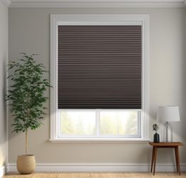 Cordless Cellular Shades