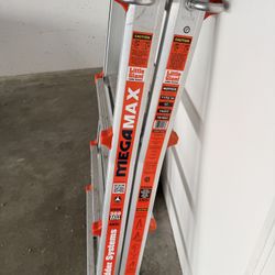 Little Giant Mega Max Ladder