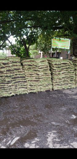 Sod , Pallet Of Sod , Grass , Grama , Cesped, Pasto