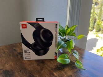 JBL live 660 Noise Cancelling Headphones