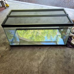 Amazing Robo Hamster Set-up or Fish Tank