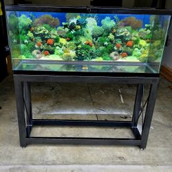 Fish Tank 55 Gallon, Stand Aquarium