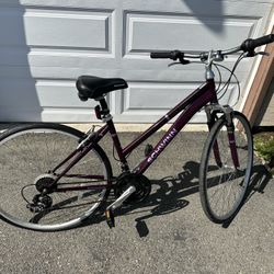 Schwinn third avenue 2025 women's hybrid bike plum