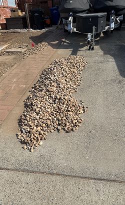 Decorative Rock Free