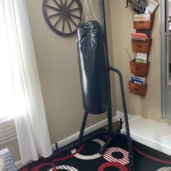 Century Punching Bag