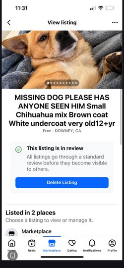 Missing dog