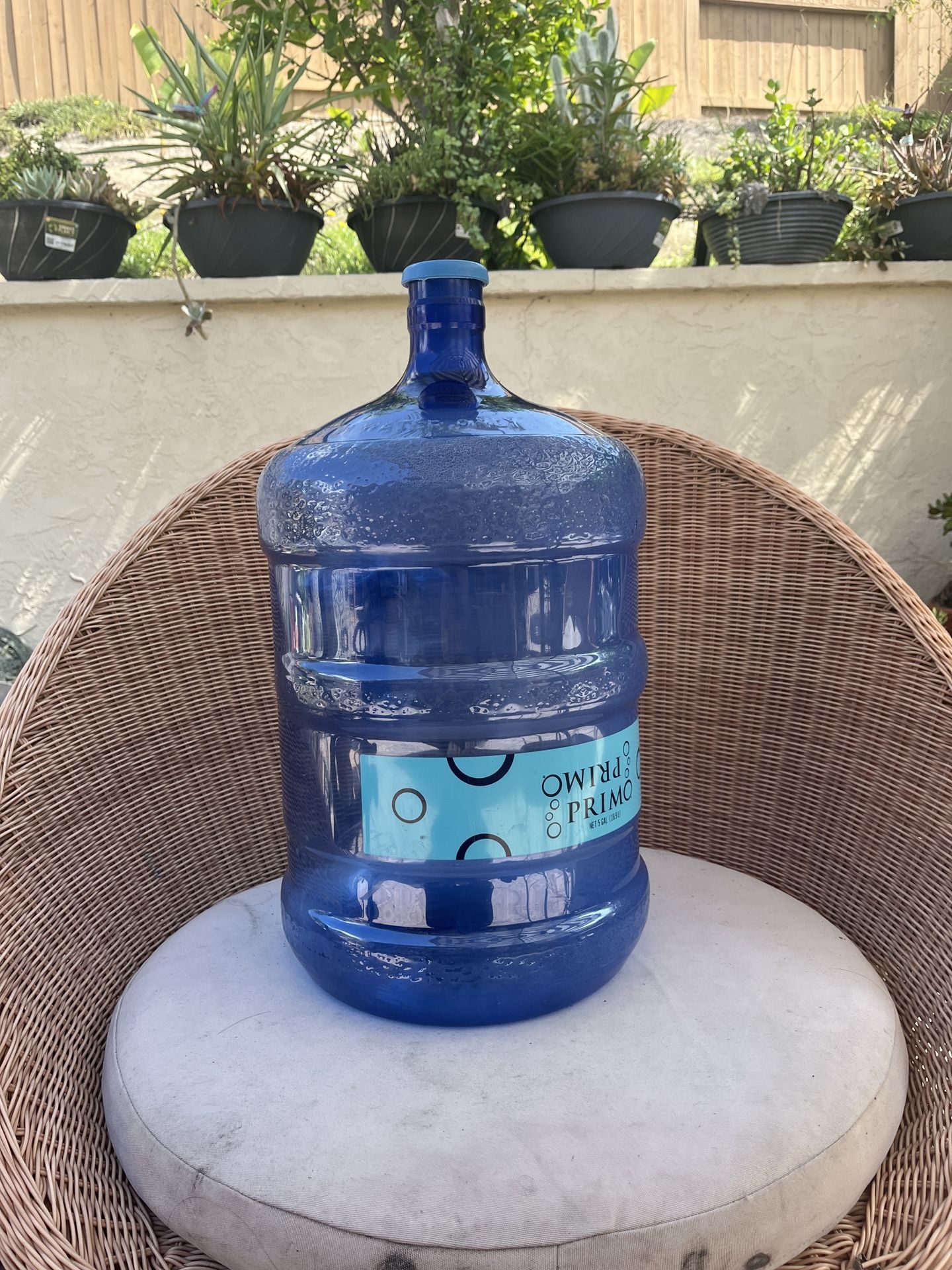 Primo 5 Gallon Water Jug Bottle With Handle
