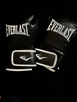 Black 16oz Everlast Boxing Gloves