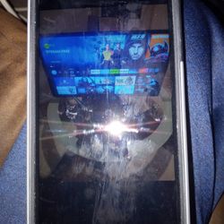 32 " Lg TV  And Fire Stick Device 