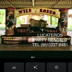 TORO MECANICO CON TODO INCLUIDO 