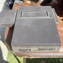 Intellivoice module
