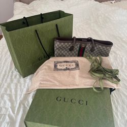 Gucci Ophidia bag 