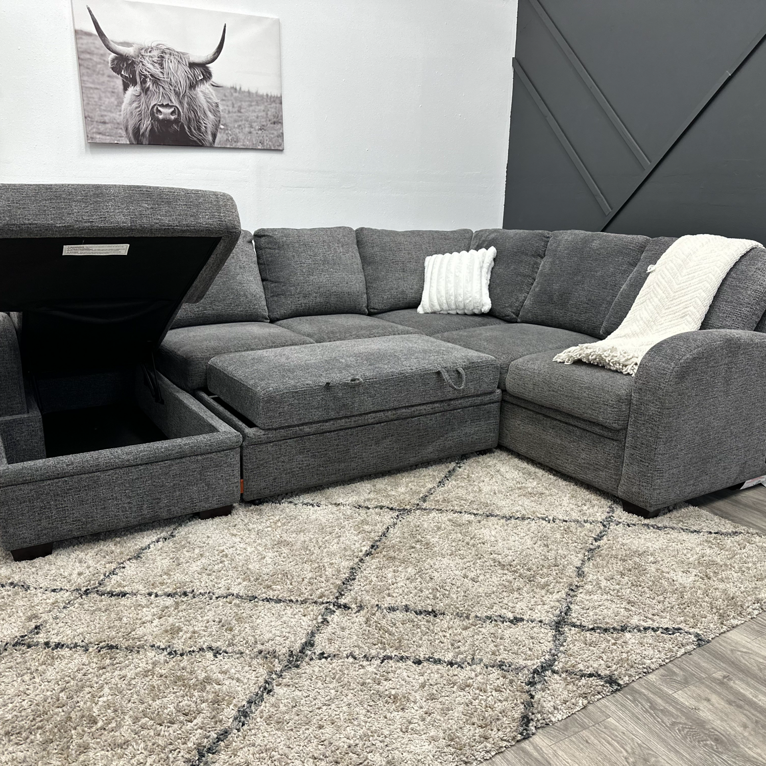 Sectional Sleeper Couch - Free Delivery