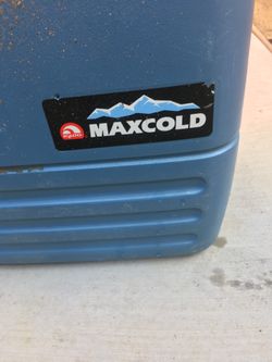 Igloo cooler max cold
