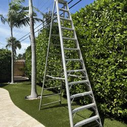 12 FT Ladder