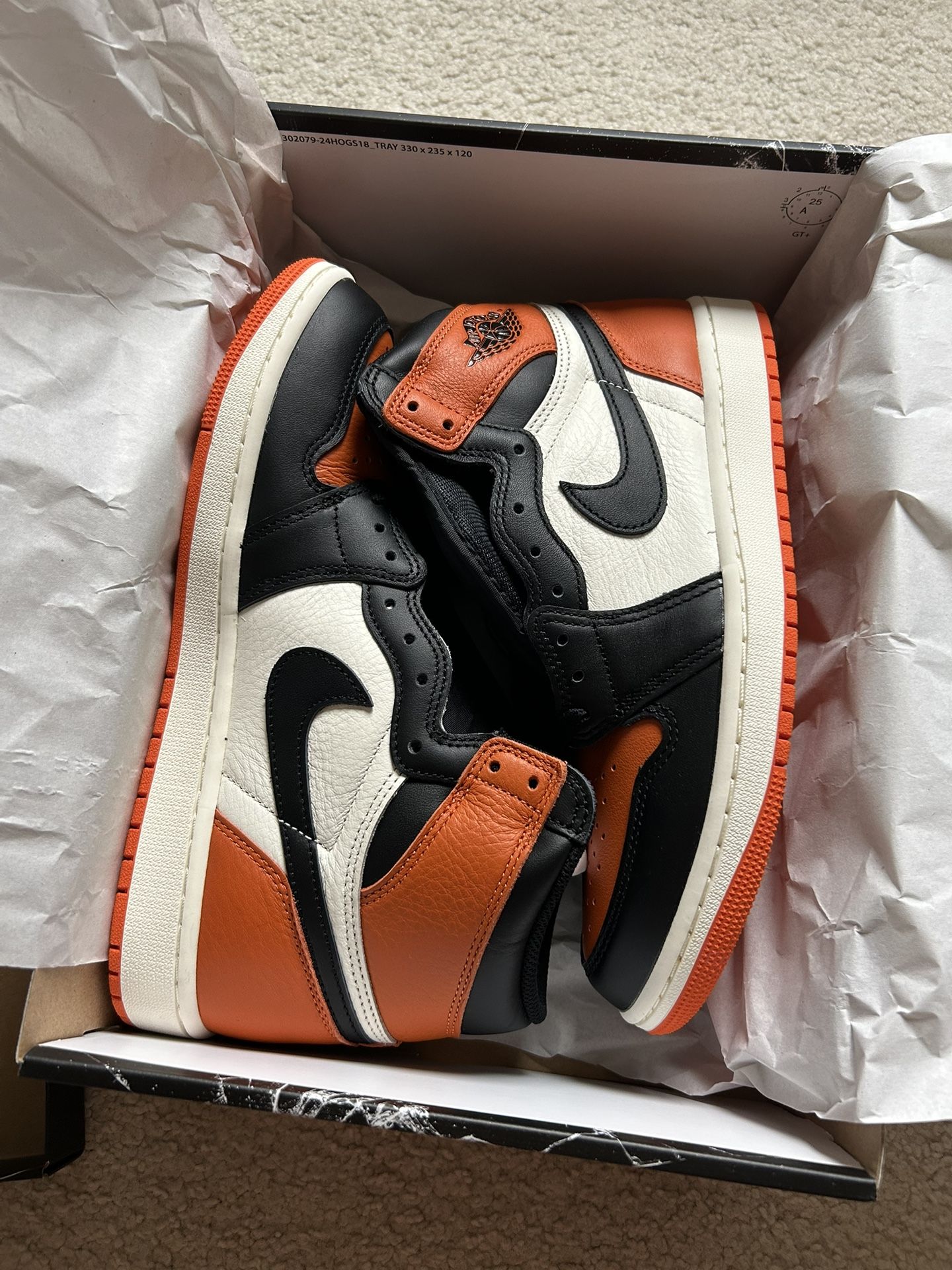 Air Jordan 1 Shattered Backboard Size 9.5 DS (Brand New) - No Trades!