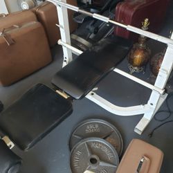Weight bench with over 700lbs of plates and dumbbells. Charging $100 for bench and 80 cents per lb on weights. 