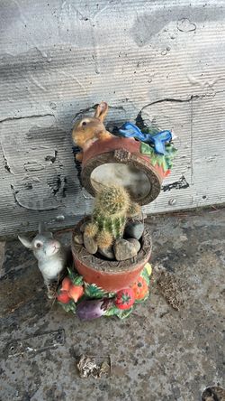 Planta captus en maceta de conejitos