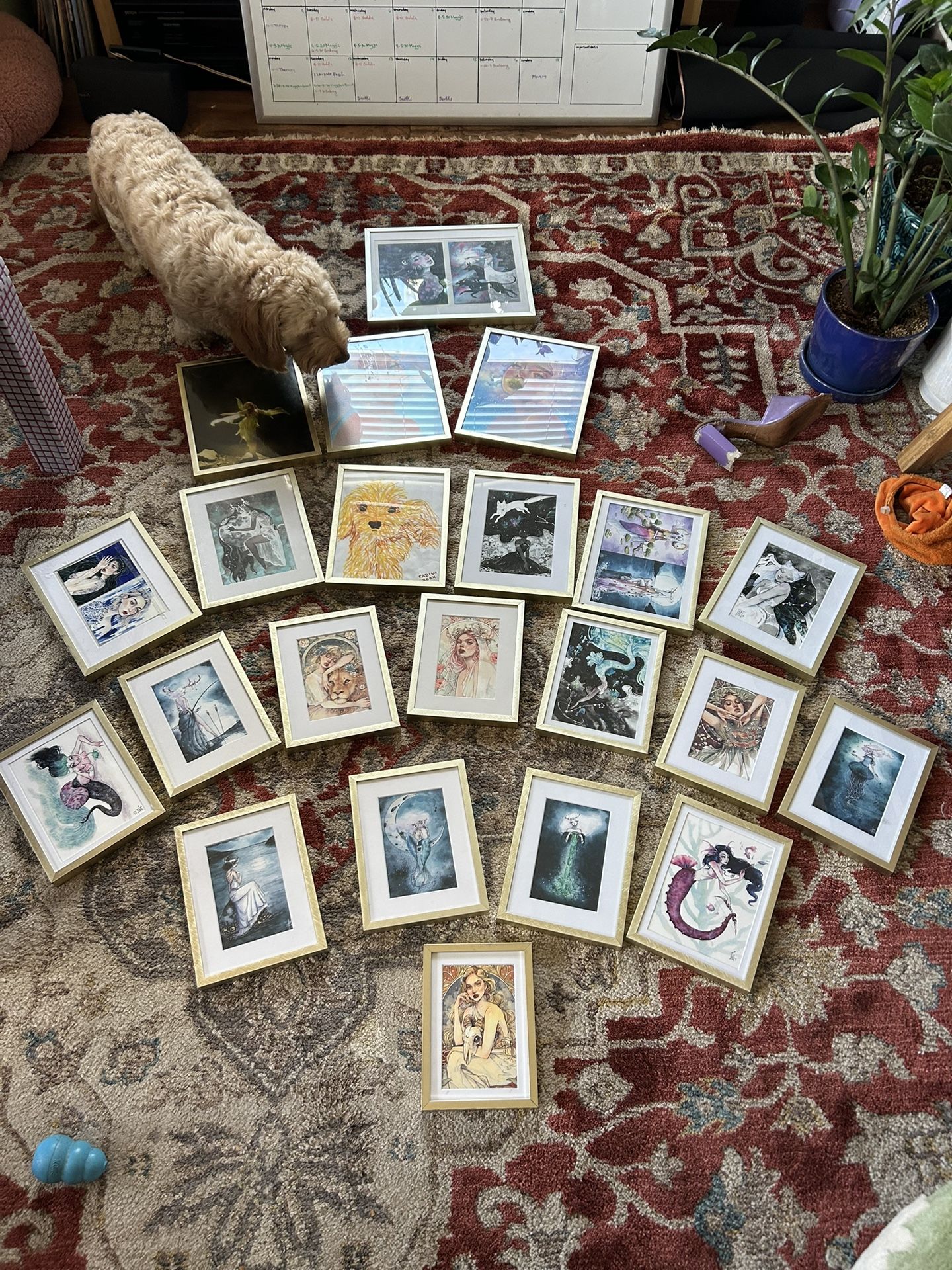 Lot Of Gold Picture/Art Frames