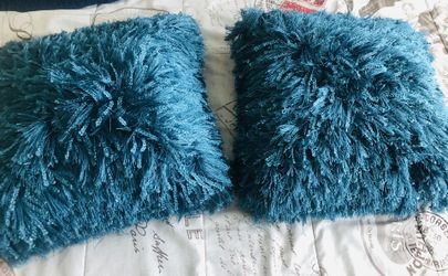 two beautiful cushions for decoration