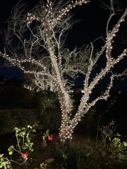 Christmas Xmas Holiday Lights Instal