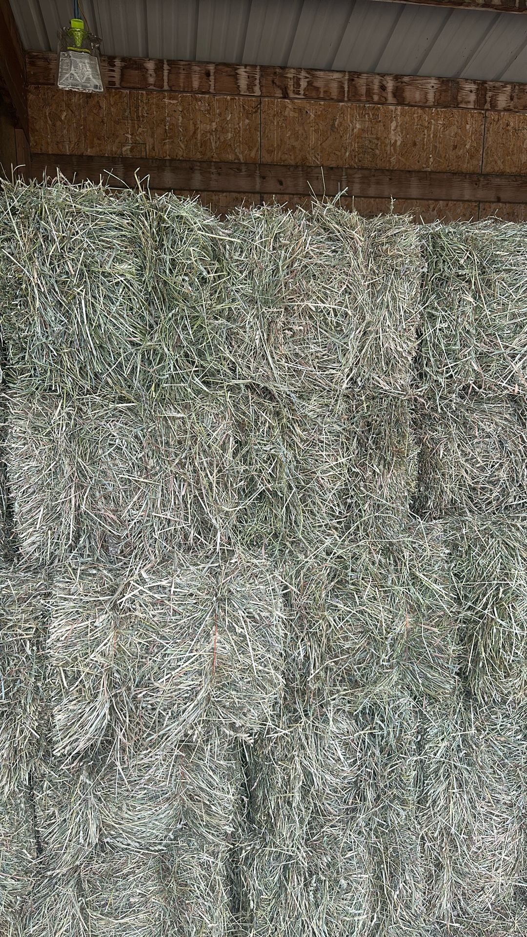 Orchard Hay