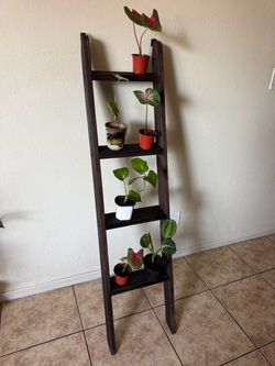 Vintage Rustic 4 Tier Wooden Plant Stand Shelf Ladder with Hooks Home Decor