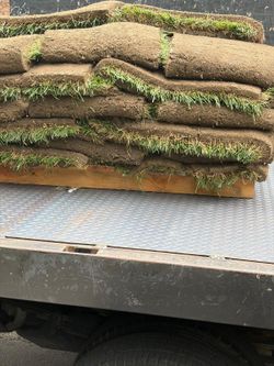 Sod $2 per sq /ft