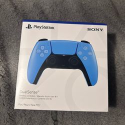 PS5 Controller 