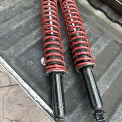 Shocks 