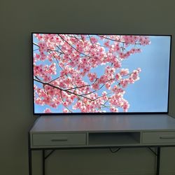 60 inch Hisense Built In Roku TV