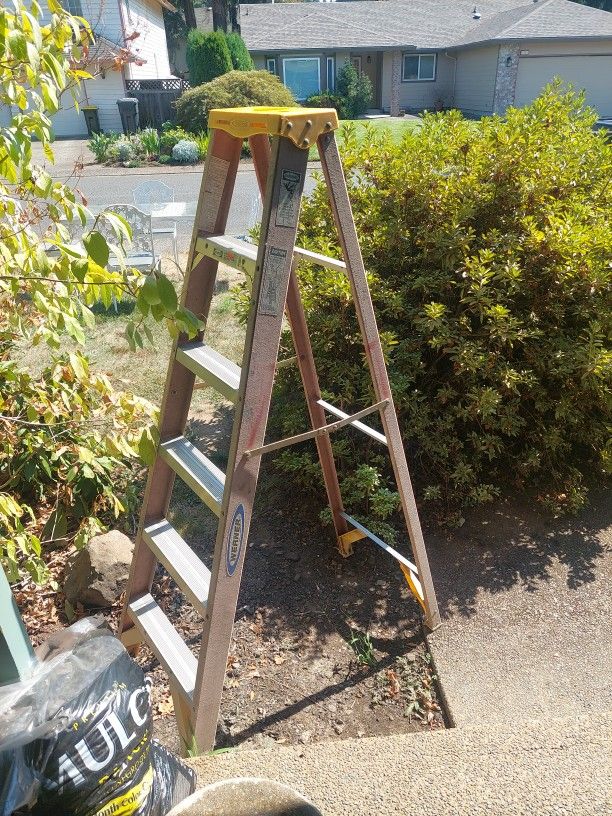 Warner 6ft Ladder