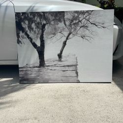 Black And White Tree Painting 