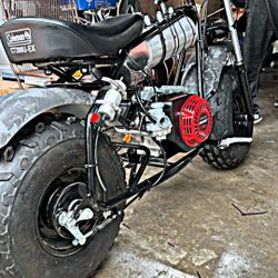 Colman Mini Bike 