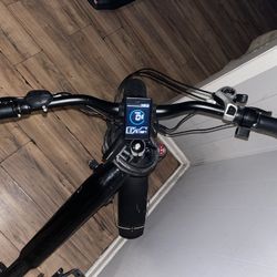 Freedom Cycle Fat Tire E-bike 