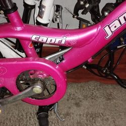 Jamis Capri 20" All Original 